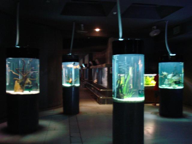 DSC02276 (Small).JPG